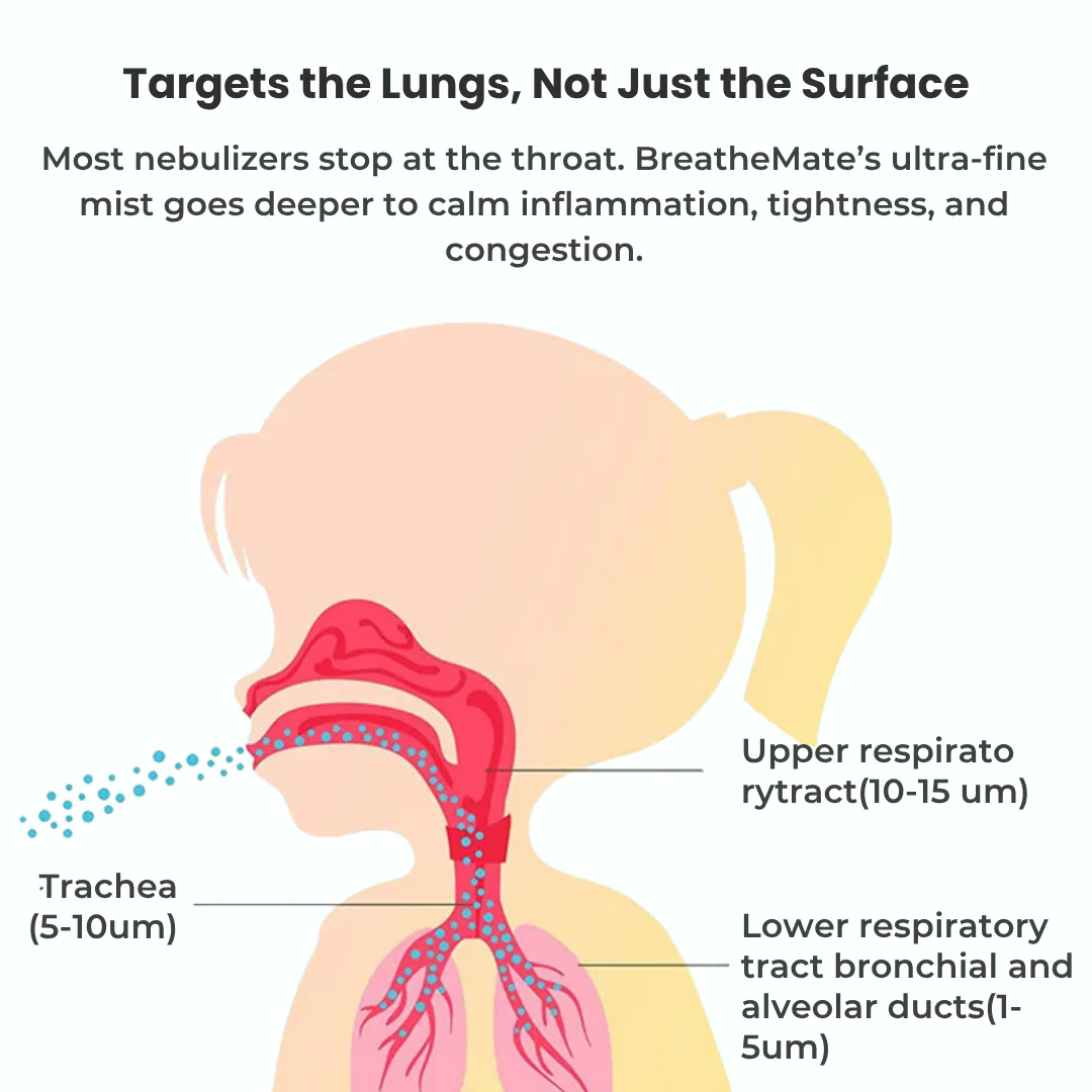 Portable Mesh Nebulizer